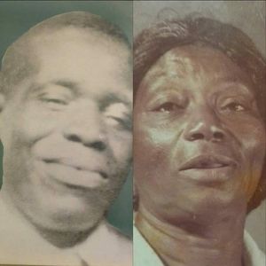 Meet your Posher, Willis